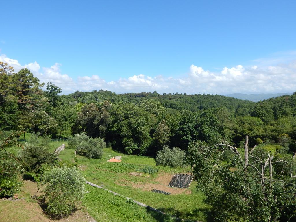 I Lecci Bed & Breakfast Lerici Exterior foto