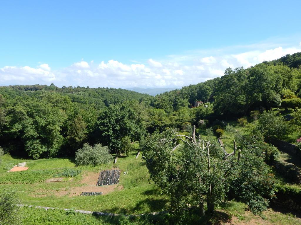 I Lecci Bed & Breakfast Lerici Exterior foto